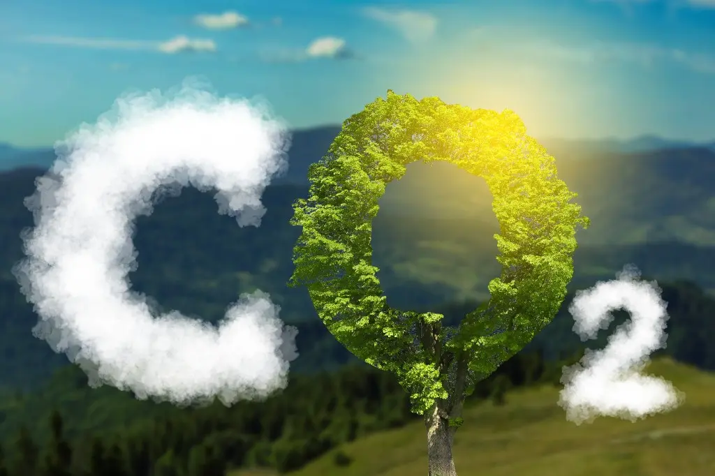 CO₂-grafik med et træ som bogstavet O – træer optager CO2 og lagrer kulstof i stamme, rødder og jord